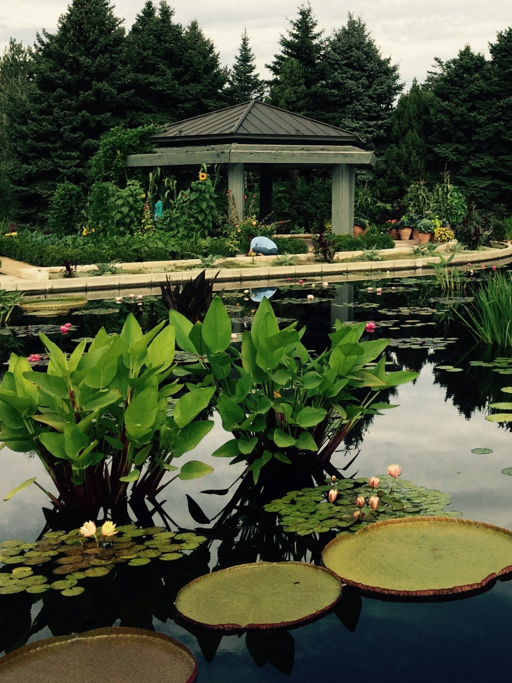 The Times of Your&nbsp;Life